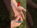 They made fake skin with gel! #FakeSkin #Satisfying #SpecialEffects #PeelOffMagic #Shorts