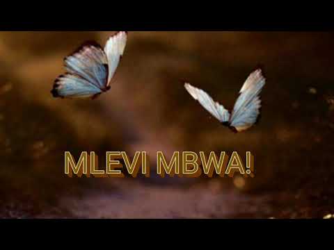 Video: Mbwa Wa Kichina Aliyeingia Katika Familia