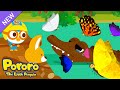 Pororo Amazon Adventure | Find the Baby Caiman Alligator&#39;s Family | Kids Animation &amp; Cartoons