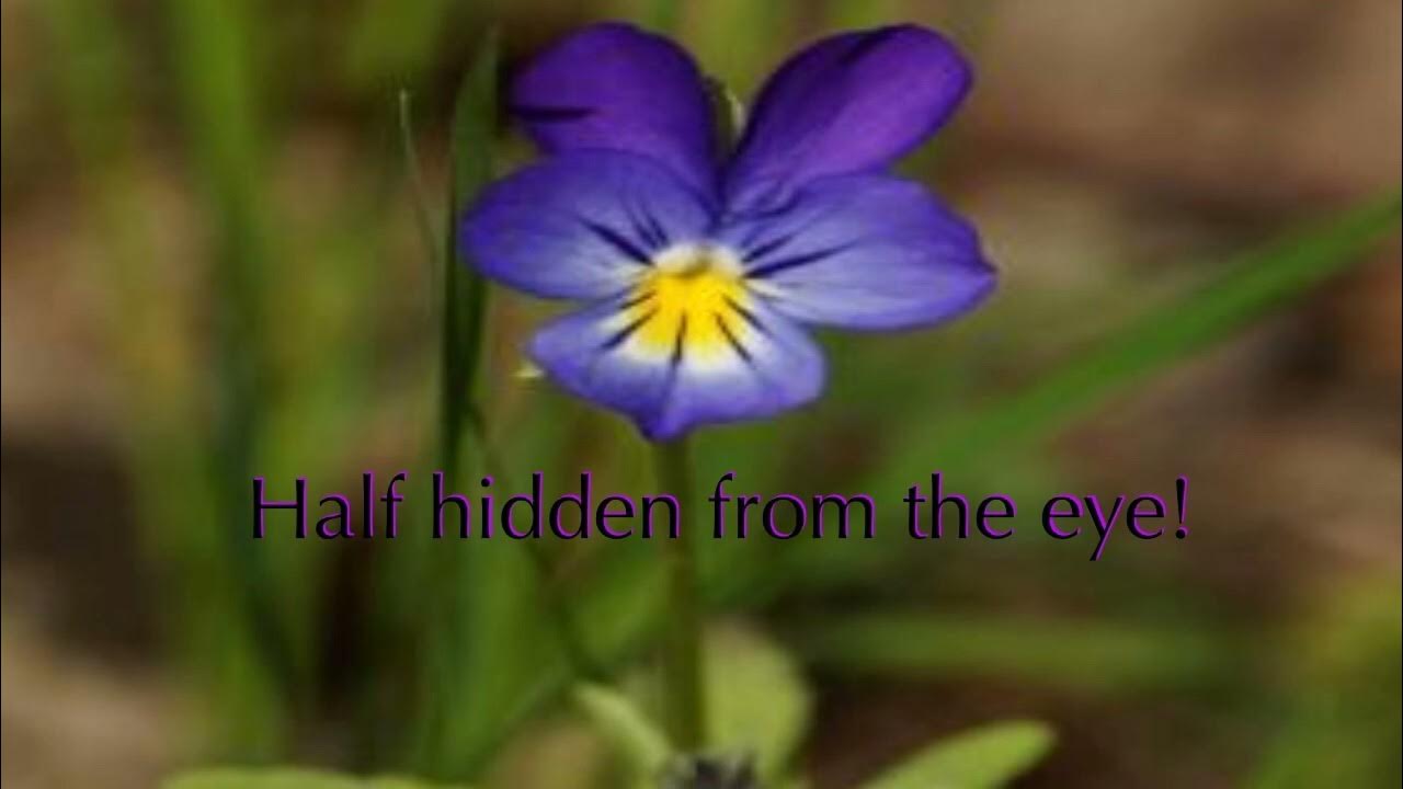 She Dwelt Among The Untrodden Ways Summary From “She Dwelt Among Untrodden Ways” - YouTube