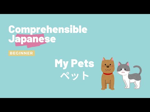 My Pets ペット - Beginner Japanese 日本語初級