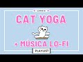 Cat yoga com 1 hora de música lo fi para você relaxar / estudar / meditar