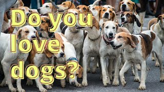 Dog Lovers Love Our Pet Coffee Mugs | Seed Idea Designs