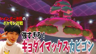 レインボー池田のポケモン剣盾ダブル くいしんぼうカビゴンで大立ち回り Youtube