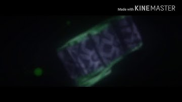 How to hack slither? Lucky patcher (do what I do)