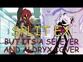 FNF B&B Split EX But Its An Aldryx and Selever Cover