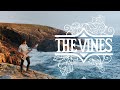 Get Free | The Vines ( Bass cover )