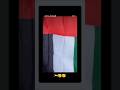 DUBAI-UAE #National #flag #All Emirates #shortsyoutube #home