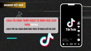 Chia Sẻ Công Cụ Tải Hàng Loạt Video Xóa Logo Trên Tiktok | Tìm Kiếm Hình Ảnh Chỉ 30 Giây screenshot 2