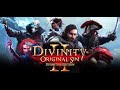 Divinity: Original Sin 2 - Definitive Edition