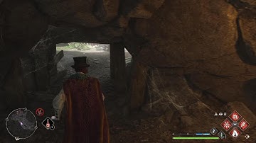 Developers please fix this glitch!!!