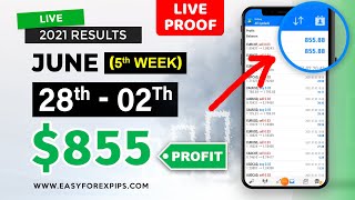 Live proof of 28th JUNE   02 JULY results   Easy Forex Pips