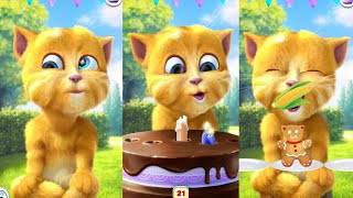 talking ginger funny cat moments  new episode eat healthy foods  #catvideos #catlover #cats