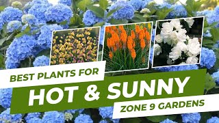 Best Plants for Hot & Sunny Zone 9 Gardens