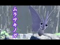古代の名前は私が考えました