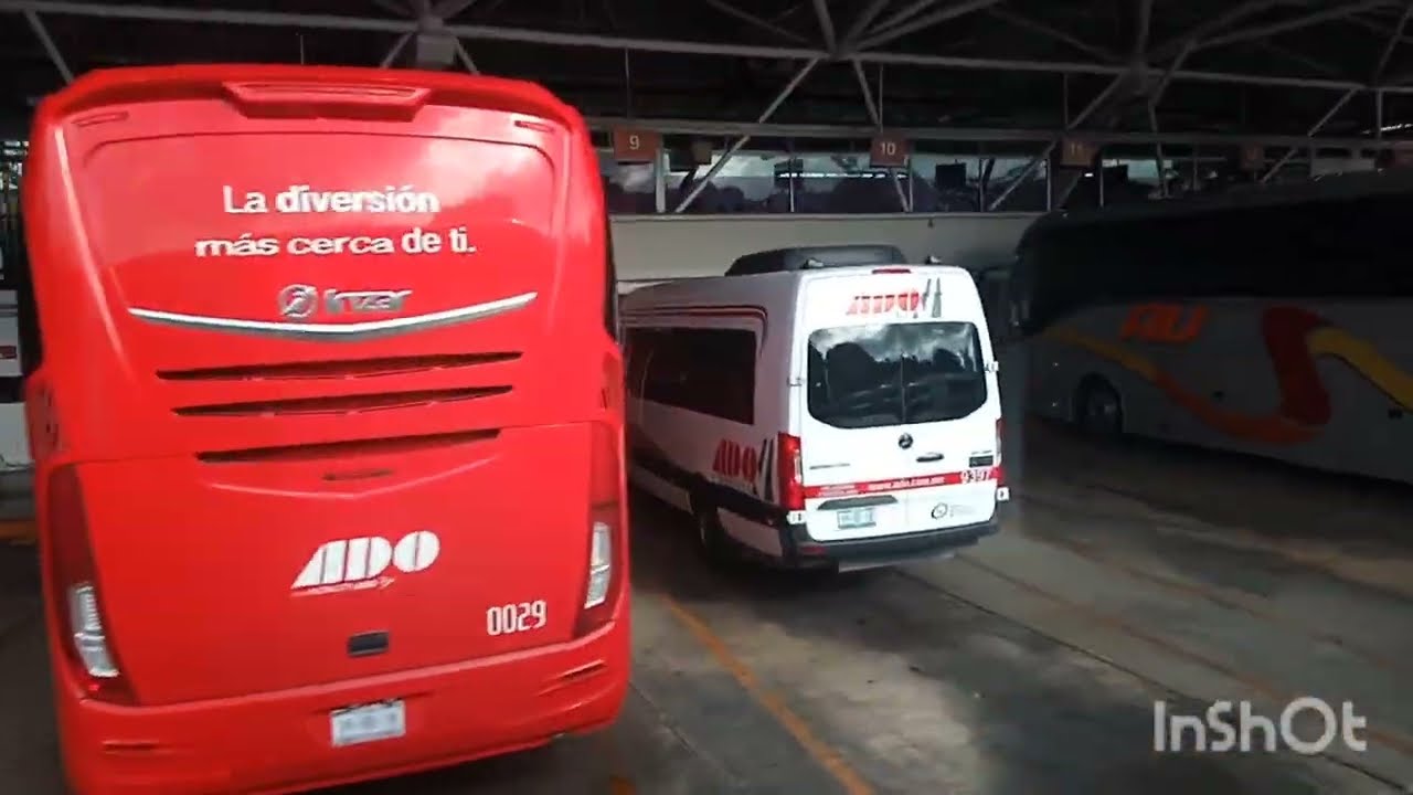 24 horas en un autobús 