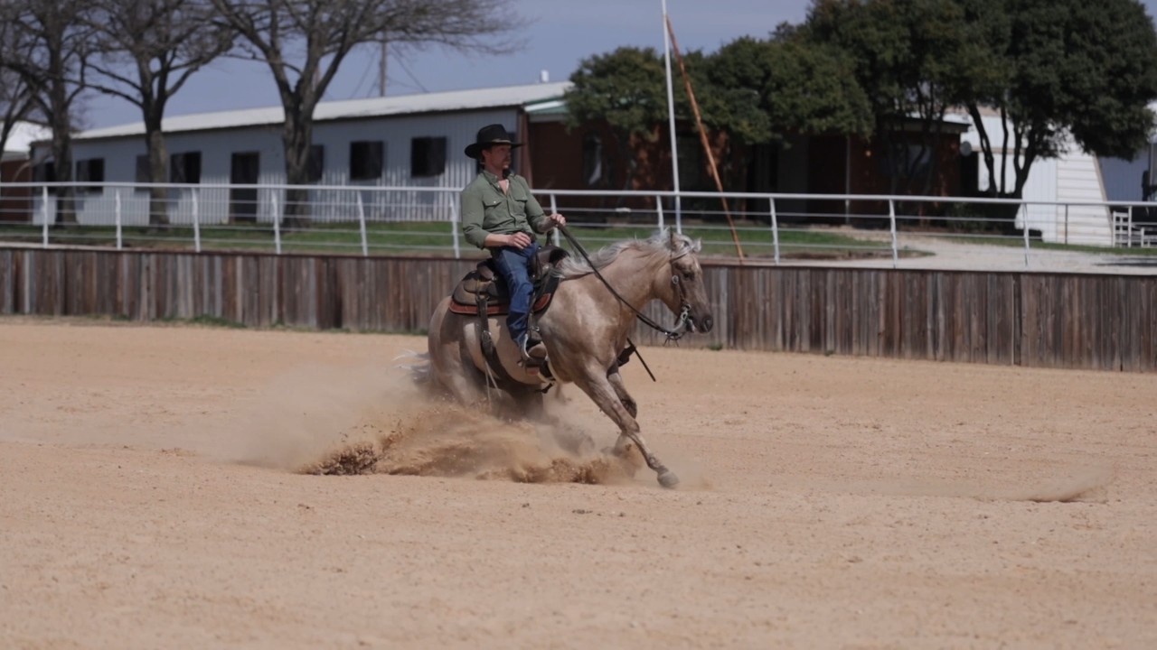 Sebastian SALE VIDEO