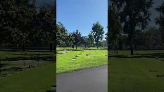 Beautiful day at Valley Memorial Park Cemetery & Funeral Home Novato, Ca