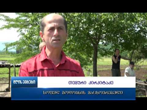 მტაცებელი ცხოველები თერჯოლის რაიონში