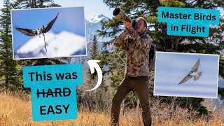 Photographing Birds in Flight made EASY! Know what the birds will do before they do. Settings & tips by Jimmy Breitenstein 1,458 views 3 weeks ago 10 minutes, 26 seconds