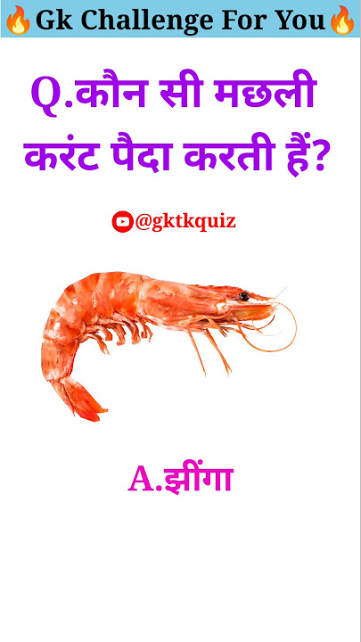 Kaun Si Machhali Current Paida Karti Hai 🐟⚡😲 #shorts #gkknowledge #factvideo #gkquestion