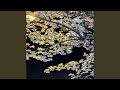 Fuera Del Planeta Viral Instrumental 