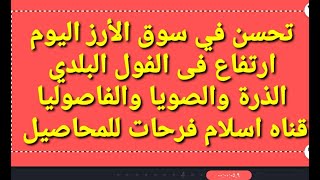 تحسن في سوق الأرز ارتفاع فى الفول البلدي اسعار الذرة والصويا والقطن والقمح والفاصوليا سعر الارز