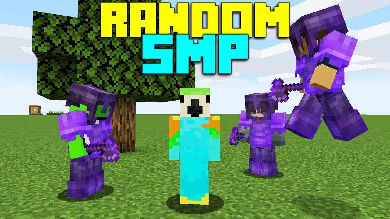 So I Joined a RANDOM Minecraft SMP... - YouTube