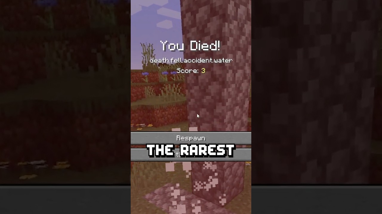 The RAREST Death Message in Minecraft...