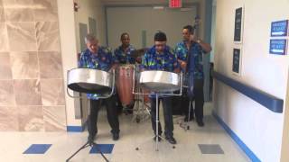 Orquesta Steel Pan Interpreta Caminan las Nubes