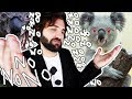 Quello che NON volevi sapere sul Koala - SCIENZA BRUTTA