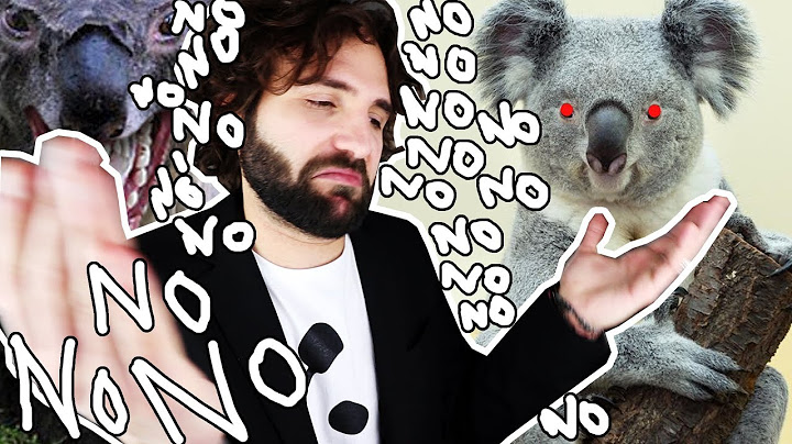 Quello che NON volevi sapere sul Koala - SCIENZA BRUTTA