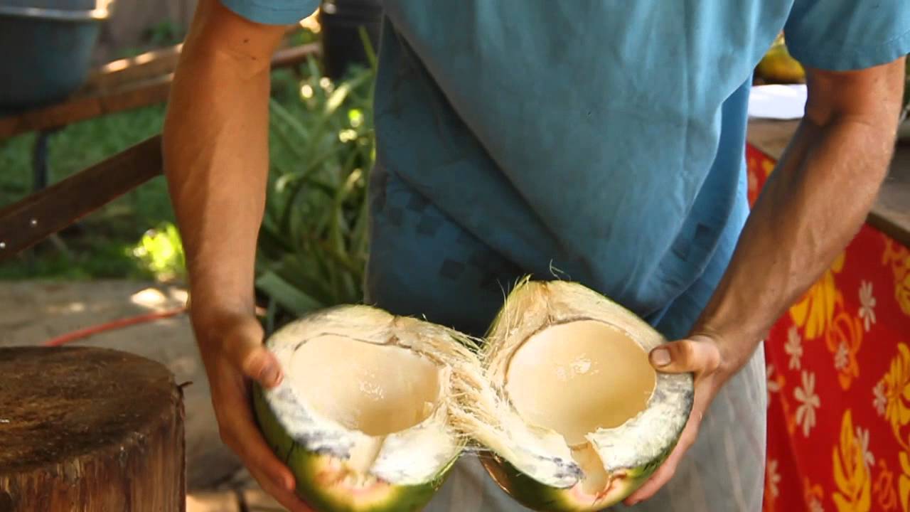 Young Coconuts YouTube