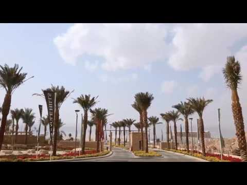       المساحات الخضراء في قرية الراحة