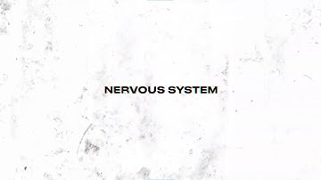 Circuits - Nervous System