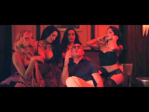 Pitbull   Como Yo Le Doy ft  Don Miguelo | Regge Music YAC |