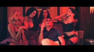 Pitbull   Como Yo Le Doy ft  Don Miguelo | Regge Music YAC |