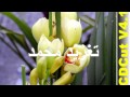 الاعلامي الفاتح الصباغ يغني مسرح الآرام