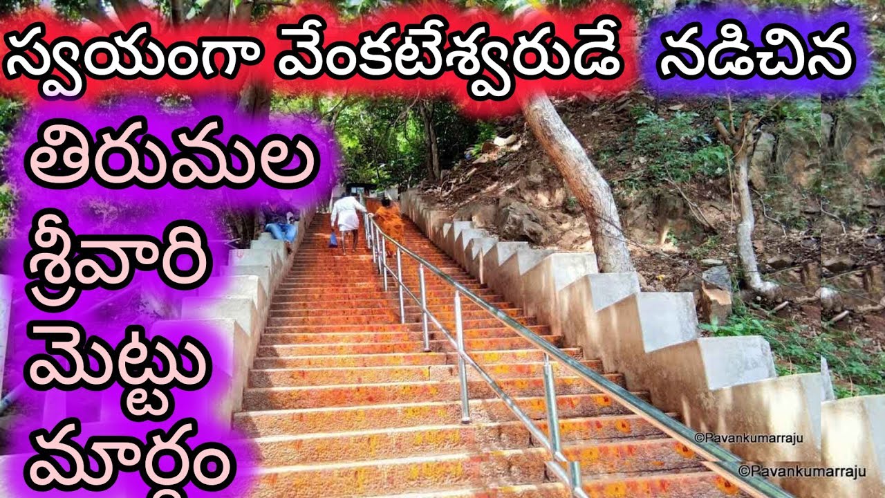 తిరుమల శ్రీవారిమెట్టు/Tirumala srivari mettu pathway/srivari mettu margam/tirumala walk way/tirumala