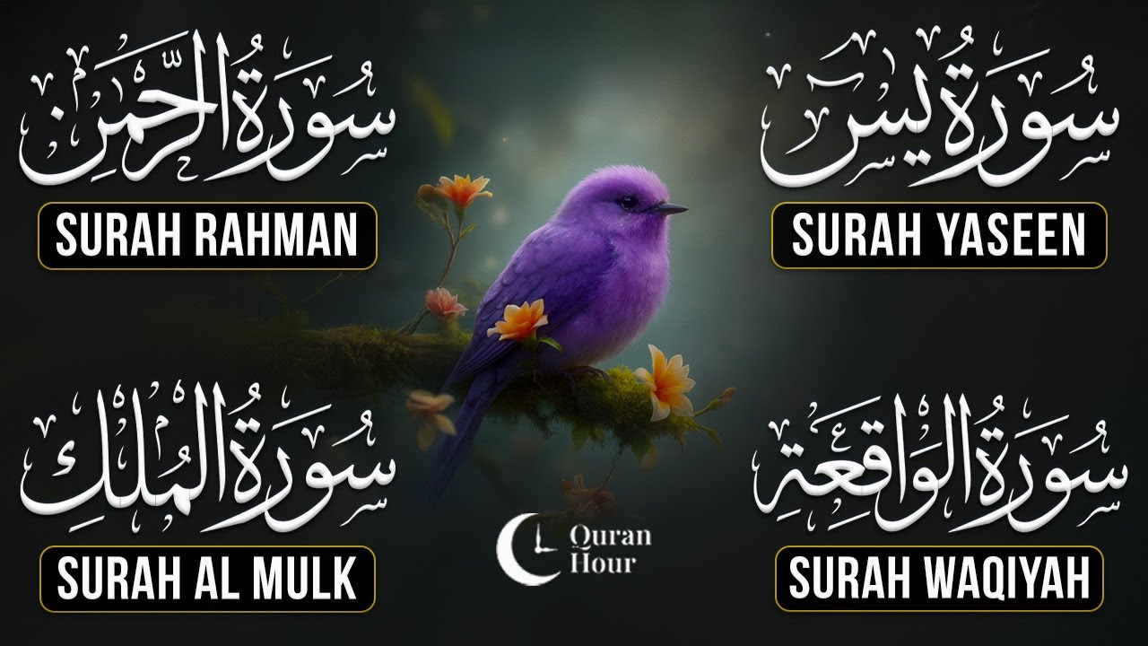Very Nice Voice Surah Yaseen | Surah Rahman | Surah Waqiah | Surah Mulk l Reciter Ashraf Hussain 055
