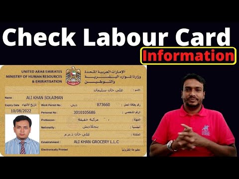 Video: How To Check A Work Permit