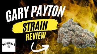 the dumbest (and best) strain ever? reviewing gary payton!