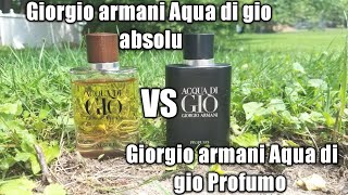 absolu vs profumo