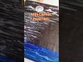 Canvas Painting 🎨|Easy Art for Beginners #shorts #art #diyart #youtubeshorts #acrylicpainting