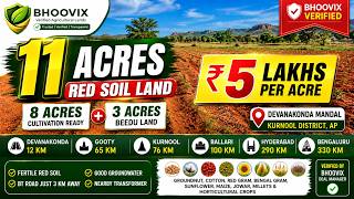₹5 Lakhs/Acre | 11 Acres Red Soil Agricultural Land for Sale in Kurnool District | BX-26938 | BHO...
