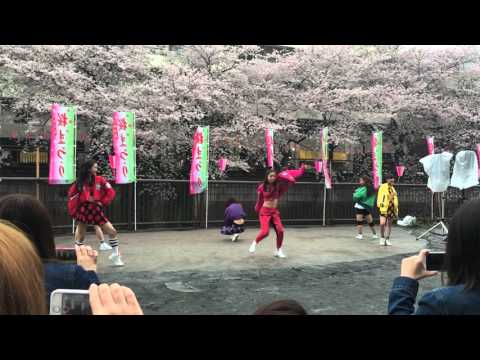 中目黒 桜祭り Expg東京校 ラビバニパート Youtube
