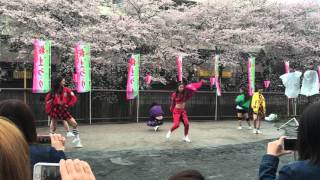 中目黒 桜祭り Expg東京校 ラビバニパート Youtube
