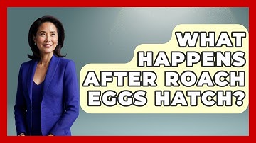 What Happens After Roach Eggs Hatch? - Insects and Invaders