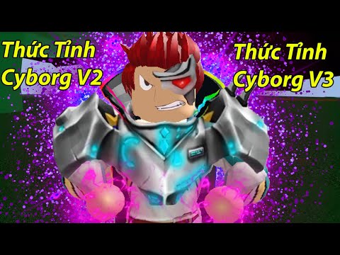 Roblox - Nâng Cấp Tộc Cyborg Lên V2 V3 Với Sức Chống Chịu Khủng Và Phản Đòn Cực Mạnh | Blox Fruit