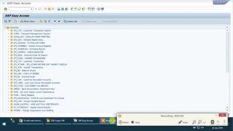 Changing SAP Web Service Password